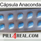 Cápsula Anaconda viagra3